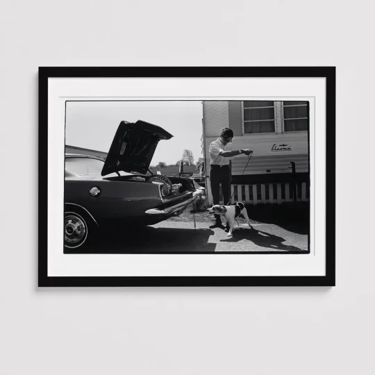 Cars '69